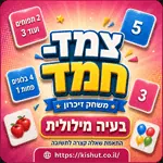 משחקי חשבון ''צמד חמד'' - לבחירה 9